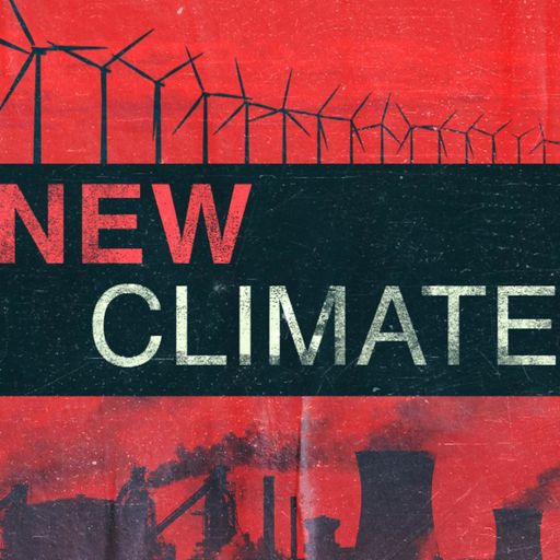 
Current Paris accord climate targets 'no longer enough', UN envoy tells Sky
