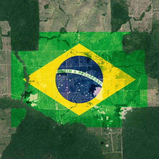 
Current Paris accord climate targets 'no longer enough', UN envoy tells Sky
