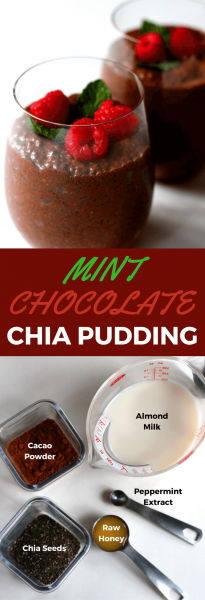 Mint Chocolate Chia Pudding