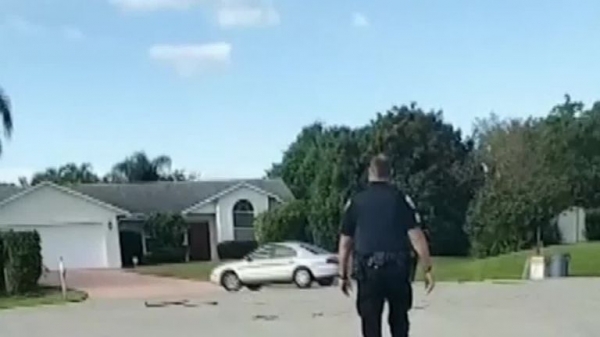 Dog puts car in reverse and drives around in circles for an hour
 
Dog puts car in reverse and drives around in circles for an hour