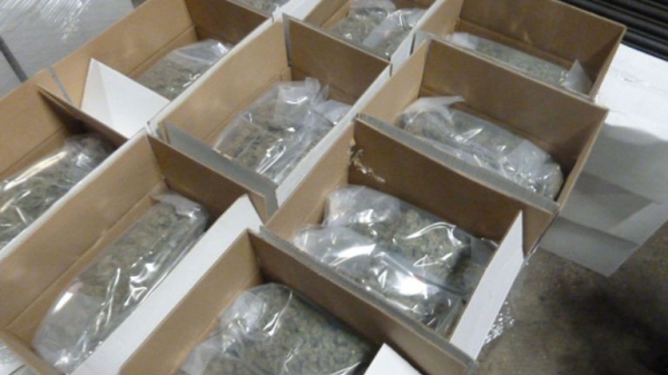 Dutch smugglers used gone-off pizza cheese to hide £5m cannabis stash
 
Dutch smugglers used gone-off pizza cheese to hide £5m cannabis stash