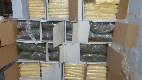Dutch smugglers used gone-off pizza cheese to hide £5m cannabis stash
 
Dutch smugglers used gone-off pizza cheese to hide £5m cannabis stash