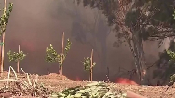 Greta Thunberg meets Leonardo DiCaprio as LA loses its cool over newfound star
 
Greta Thunberg meets Leonardo DiCaprio as LA loses its cool over newfound star