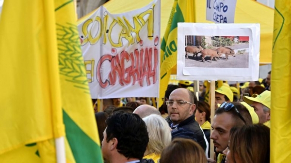 Wild boar discover and snort £17,000 of cocaine in Tuscan forest
Wild boar discover and snort £17,000 of cocaine in Tuscan forest