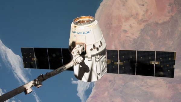 
Muscular 'mighty mice' and sensitive robot delivered to International Space Station
