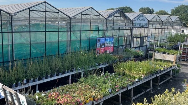 Hampshire residents feeling brunt of tinder-dry heatwave conditions