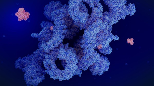 Aging slowdown could be surprise benefit of existing medication, research shows