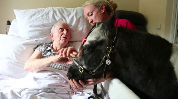 New Jersey medical students offer haircuts and grooming services to patients: ‘Sense of humanity’ New Jersey medical students offer haircuts and grooming services to patients: ‘Sense of humanity’