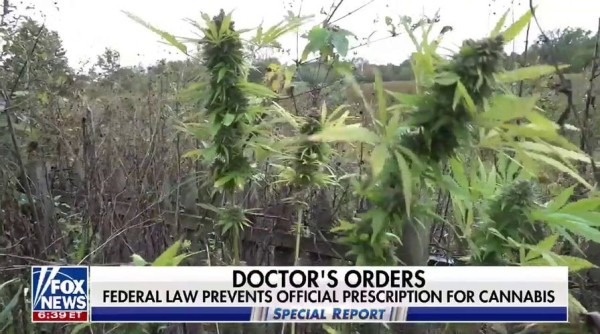 Older Americans turn to marijuana for better sleep and pain relief: Here's what to know Older Americans turn to marijuana for better sleep and pain relief: Here's what to know