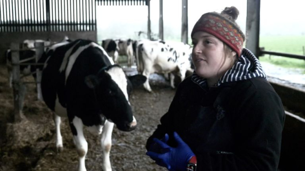 Fight over risk to river of muck spreading from new chicken mega-farm heads to High Court