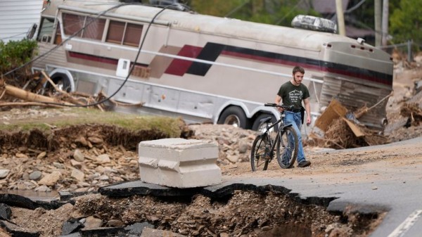 Hurricane Helene: Allergy warning as floods stir up swarms of wasps Hurricane Helene: Allergy warning as floods stir up swarms of wasps
