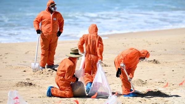 Mystery tar balls wash up on Sydney beaches forcing seven to close Mystery tar balls wash up on Sydney beaches forcing seven to close