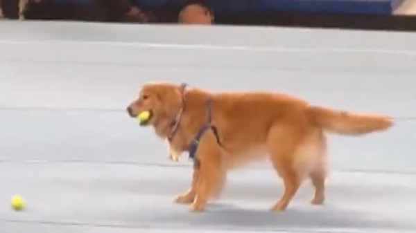 Olympics festival mood will 'not be spoilt' by rise of far-right, says Paris mayor Olympics festival mood will 'not be spoilt' by rise of far-right, says Paris mayor