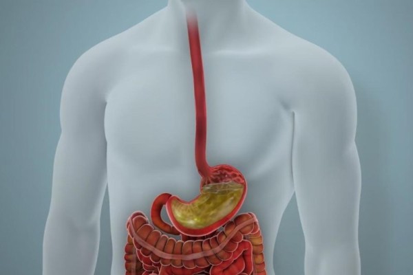 Ozempic, new intestinal therapy may eliminate need for insulin in Type 2 diabetics Ozempic, new intestinal therapy may eliminate need for insulin in Type 2 diabetics
