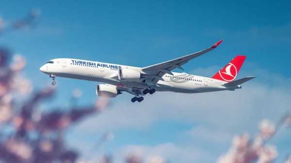 Plane makes emergency landing after pilot dies on Turkish Airlines flight Plane makes emergency landing after pilot dies on Turkish Airlines flight
