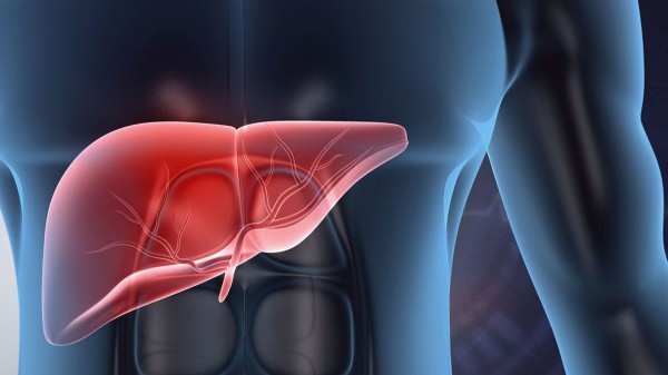 HIV-positive transplants now permitted for livers and kidneys