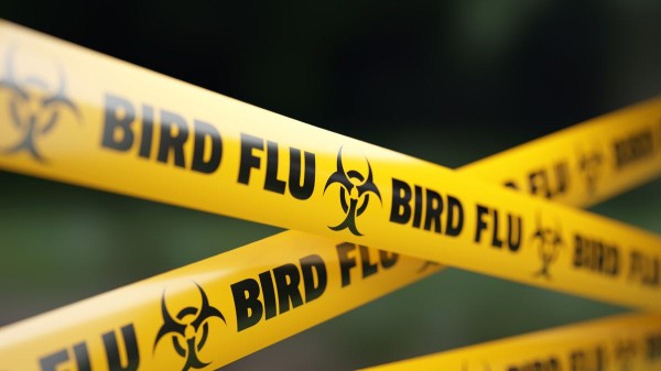 Human bird flu case presumed in Canada, teenage patient is hospitalized Human bird flu case presumed in Canada, teenage patient is hospitalized