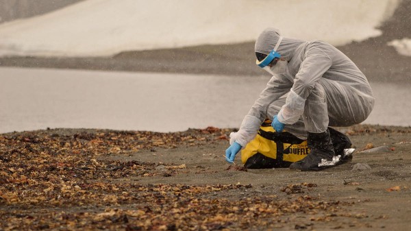 Bird flu surges in several US states with reports of new outbreaks: 'Getting worse' Bird flu surges in several US states with reports of new outbreaks: 'Getting worse'