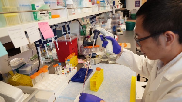 COVID-19 virus could attack cancer cells and shrink tumors, new study suggests COVID-19 virus could attack cancer cells and shrink tumors, new study suggests