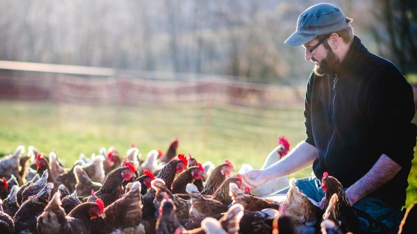 Bird flu surges in several US states with reports of new outbreaks: 'Getting worse' Bird flu surges in several US states with reports of new outbreaks: 'Getting worse'