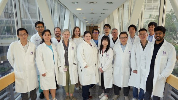 COVID-19 virus could attack cancer cells and shrink tumors, new study suggests COVID-19 virus could attack cancer cells and shrink tumors, new study suggests