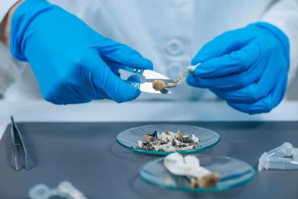 Psilocybin may be effective in treating anorexia Psilocybin may be effective in treating anorexia