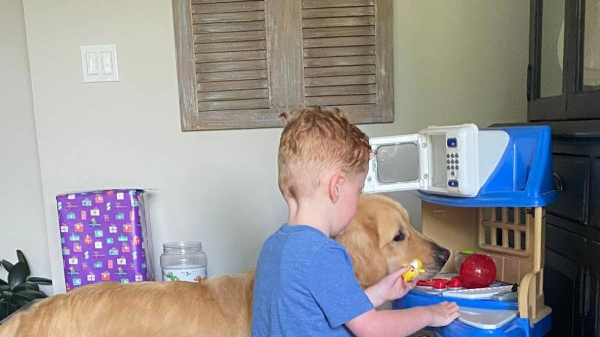 Service dog helps boy with rare genetic disorder achieve ‘unbelievable’ progress