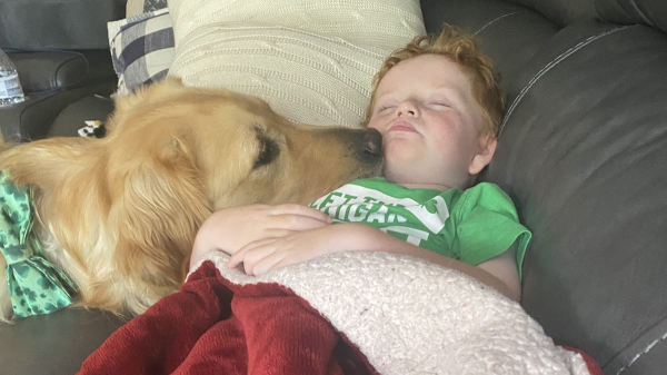 Service dog helps boy with rare genetic disorder achieve ‘unbelievable’ progress