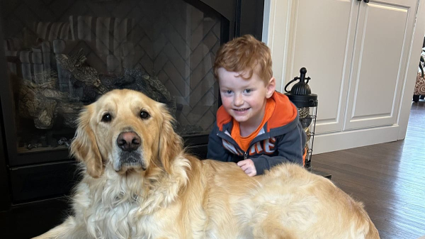 Service dog helps boy with rare genetic disorder achieve ‘unbelievable’ progress