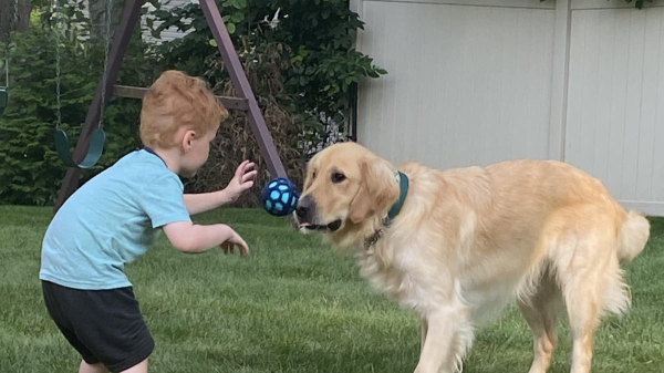 Service dog helps boy with rare genetic disorder achieve ‘unbelievable’ progress