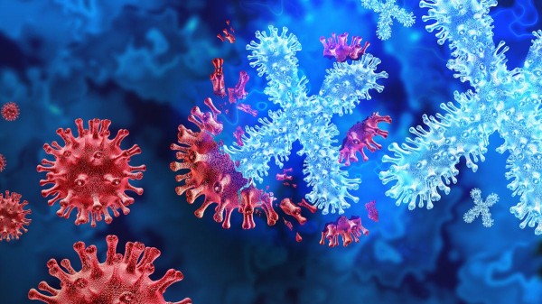 ‘Disease X’ has killed dozens in the Congo — here’s what to know about the mystery illness ‘Disease X’ has killed dozens in the Congo — here’s what to know about the mystery illness