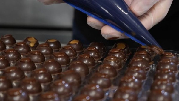 Bank of England keeps 'gradual' cut prospects alive as interest rate held