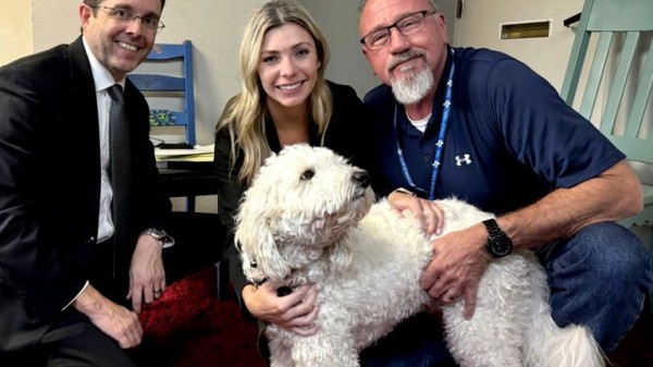 Best dogs of 2024: Good (and bad) boys and girls that made headlines this year Best dogs of 2024: Good (and bad) boys and girls that made headlines this year