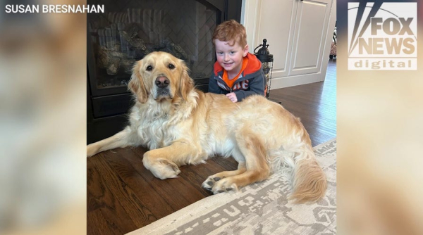 Service dog helps boy with rare genetic disorder achieve ‘unbelievable’ progress