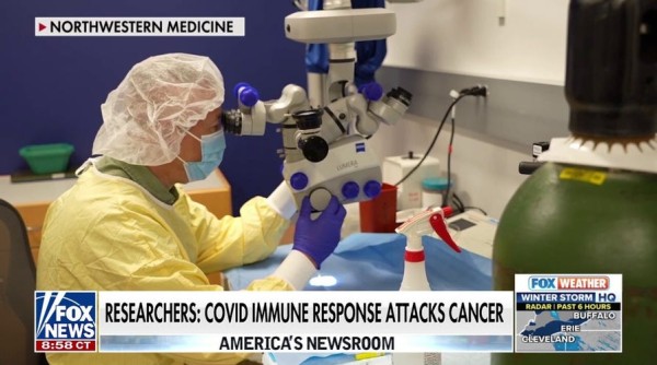 The year in cancer: Advances made in 2024, predictions for 2025 The year in cancer: Advances made in 2024, predictions for 2025