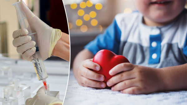 Stem cell therapy to correct heart failure in children could 'transform lives' Stem cell therapy to correct heart failure in children could 'transform lives'
