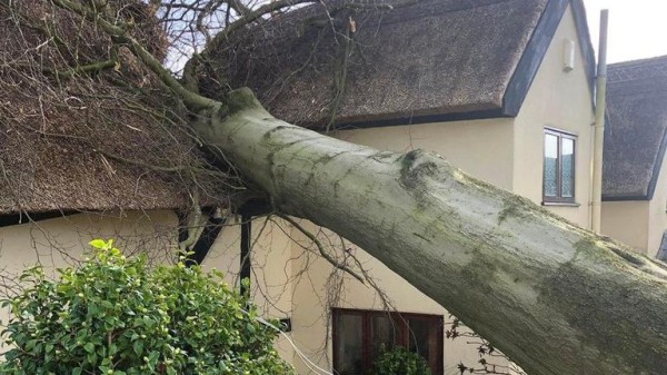 Fresh weather warning in place after Storm Darragh wreaks havoc Fresh weather warning in place after Storm Darragh wreaks havoc