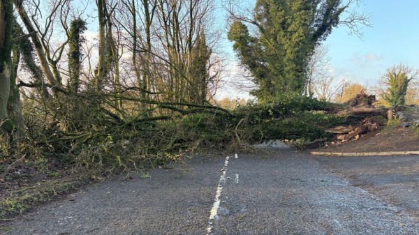 Fresh weather warning in place after Storm Darragh wreaks havoc Fresh weather warning in place after Storm Darragh wreaks havoc