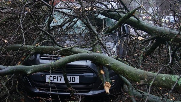 Fresh weather warning in place after Storm Darragh wreaks havoc Fresh weather warning in place after Storm Darragh wreaks havoc