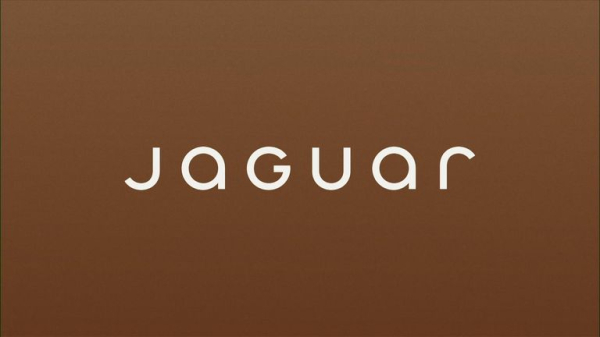 Largely manufactured furore shows Jaguar succeeded at getting people talking