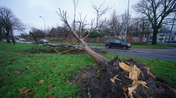 Millions urged to stay inside as Storm Darragh hits UK and Ireland with winds topping 90mph Millions urged to stay inside as Storm Darragh hits UK and Ireland with winds topping 90mph