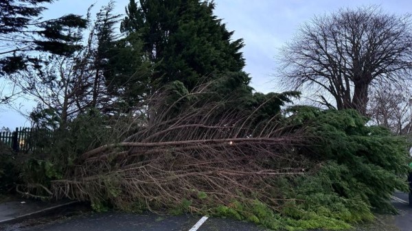 Millions urged to stay inside as Storm Darragh hits UK and Ireland with winds topping 90mph Millions urged to stay inside as Storm Darragh hits UK and Ireland with winds topping 90mph