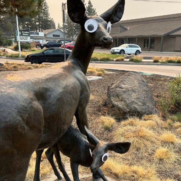 US city tells residents to stop sticking googly eyes on its statues US city tells residents to stop sticking googly eyes on its statues