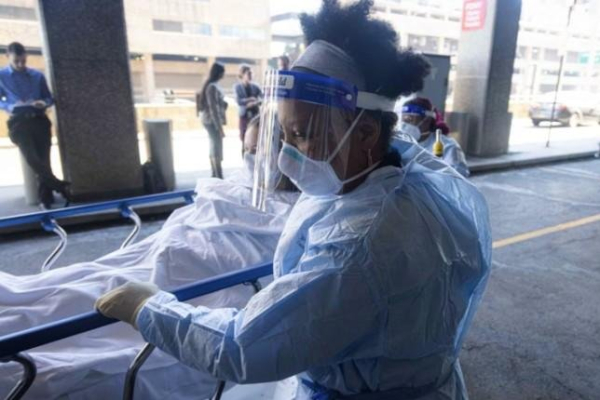 Bird flu isn't an immediate health threat in New York, but preparations have begun