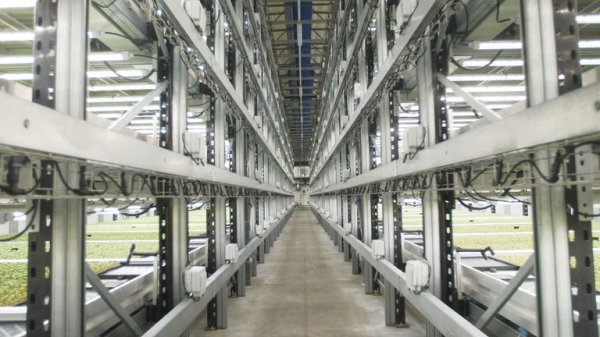 Could this be the future of farming? Inside Europe's biggest vertical farm Could this be the future of farming? Inside Europe's biggest vertical farm