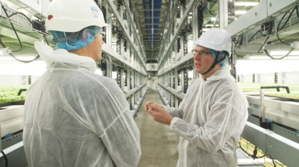 Could this be the future of farming? Inside Europe's biggest vertical farm Could this be the future of farming? Inside Europe's biggest vertical farm