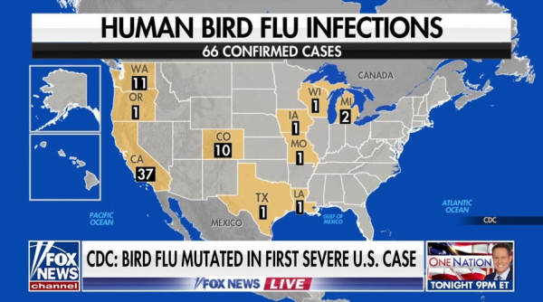 One state leads country in human bird flu with nearly 40 confirmed cases One state leads country in human bird flu with nearly 40 confirmed cases