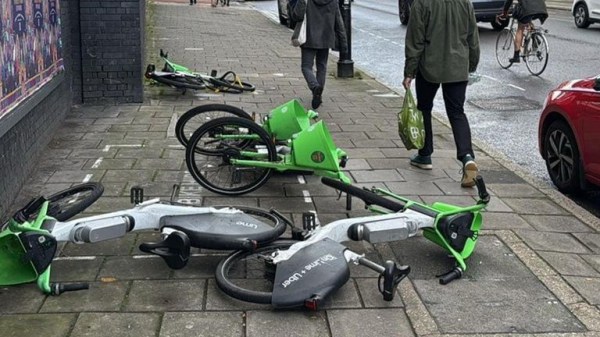 'Littered e-bikes are not just annoying. For people with mobility issues, they're a serious problem' 'Littered e-bikes are not just annoying. For people with mobility issues, they're a serious problem'
