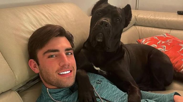 Love Island star Jack Fincham released on bail after being jailed for dog attack Love Island star Jack Fincham released on bail after being jailed for dog attack