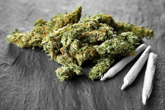 Medical marijuana users can become addicted to pot, study says Medical marijuana users can become addicted to pot, study says